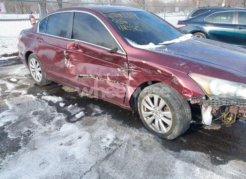 Photo 6 of 2011 Honda Accord 2.4 EX-L (VIN 1HGCP2F83BA025930)