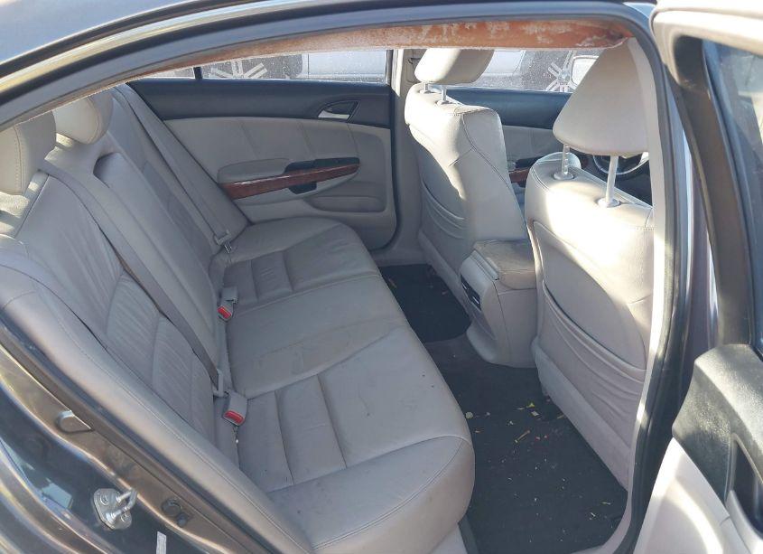 Photo 8 of 2011 Honda Accord 2.4 EX-L (VIN 1HGCP2F83BA044753)