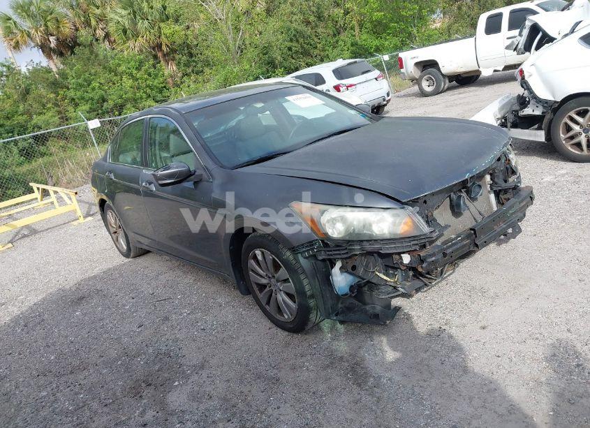 Photo 14 of 2011 Honda Accord 2.4 EX-L (VIN 1HGCP2F83BA069619)