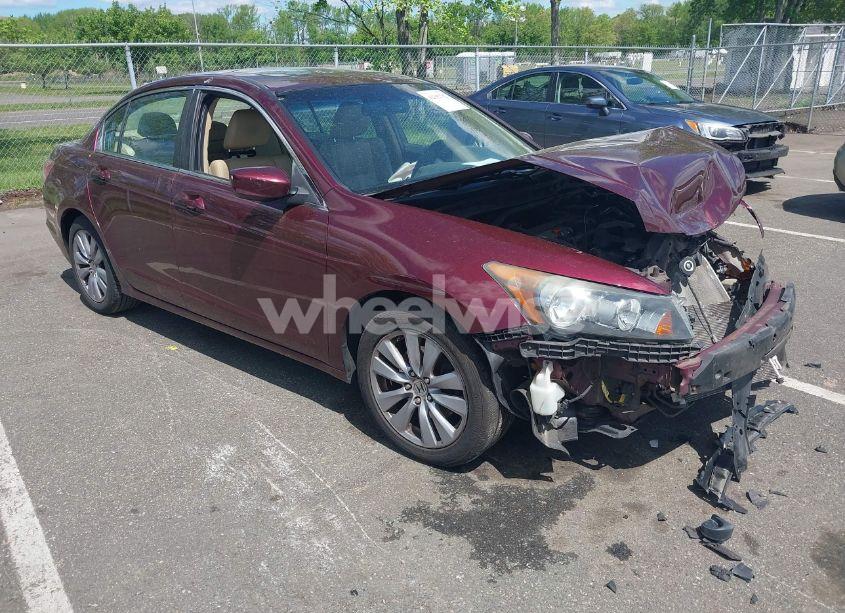 2011 Honda Accord 2.4 EX-L (VIN 1HGCP2F83BA080023) main photo