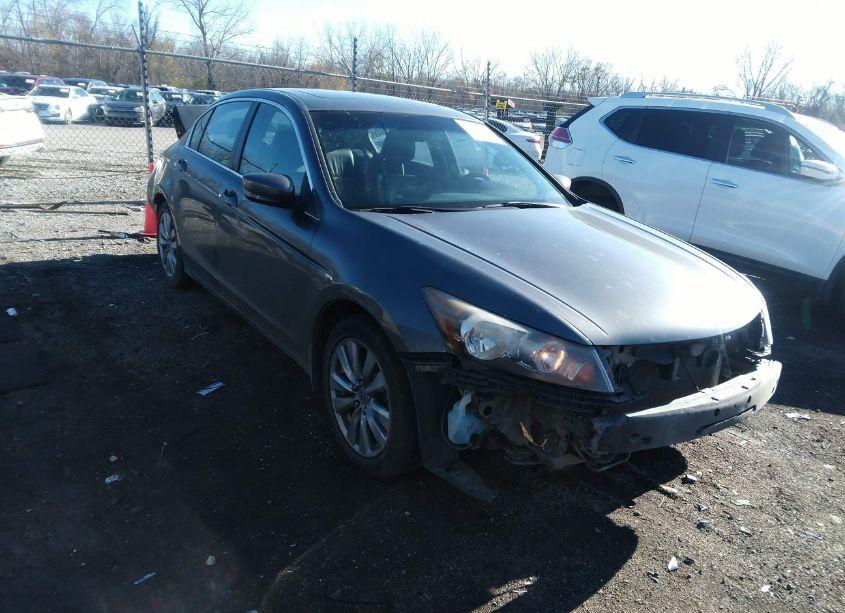 2011 Honda Accord 2.4 EX-L (VIN 1HGCP2F83BA080958) main photo