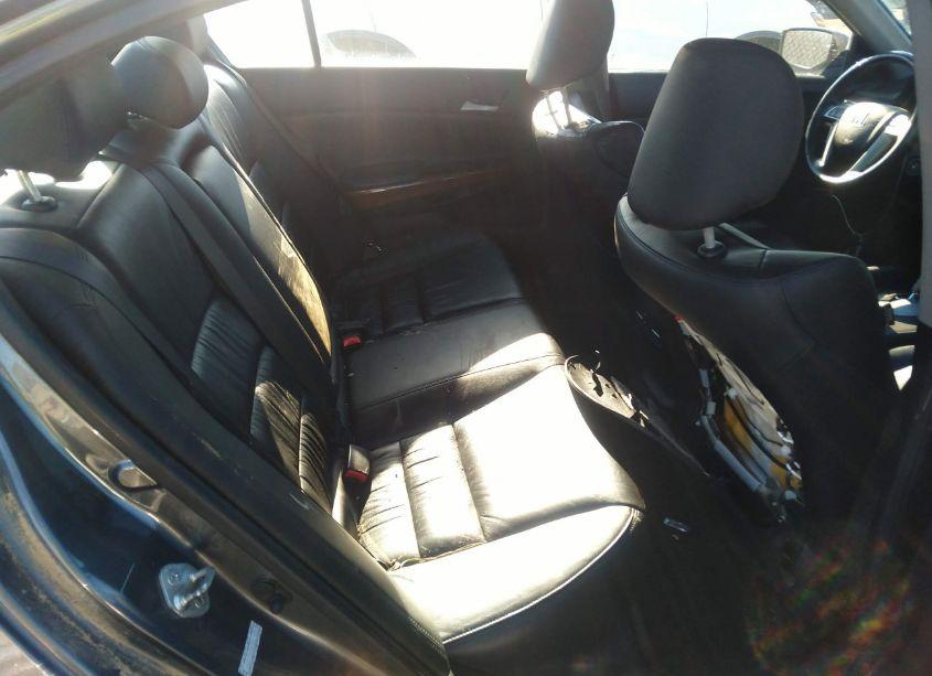 Photo 8 of 2011 Honda Accord 2.4 EX-L (VIN 1HGCP2F83BA080958)