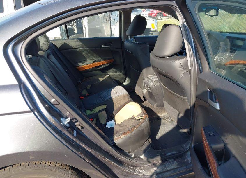 Photo 8 of 2011 Honda Accord 2.4 EX-L (VIN 1HGCP2F83BA107401)