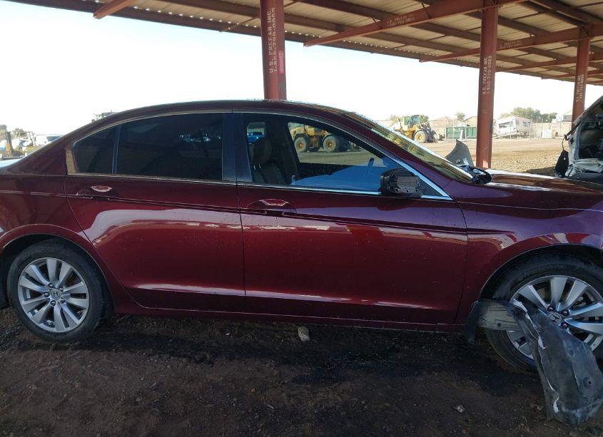 Photo 13 of 2011 Honda Accord 2.4 EX-L (VIN 1HGCP2F83BA138132)