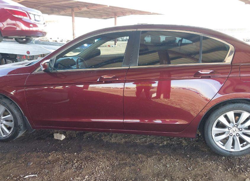 Photo 14 of 2011 Honda Accord 2.4 EX-L (VIN 1HGCP2F83BA138132)