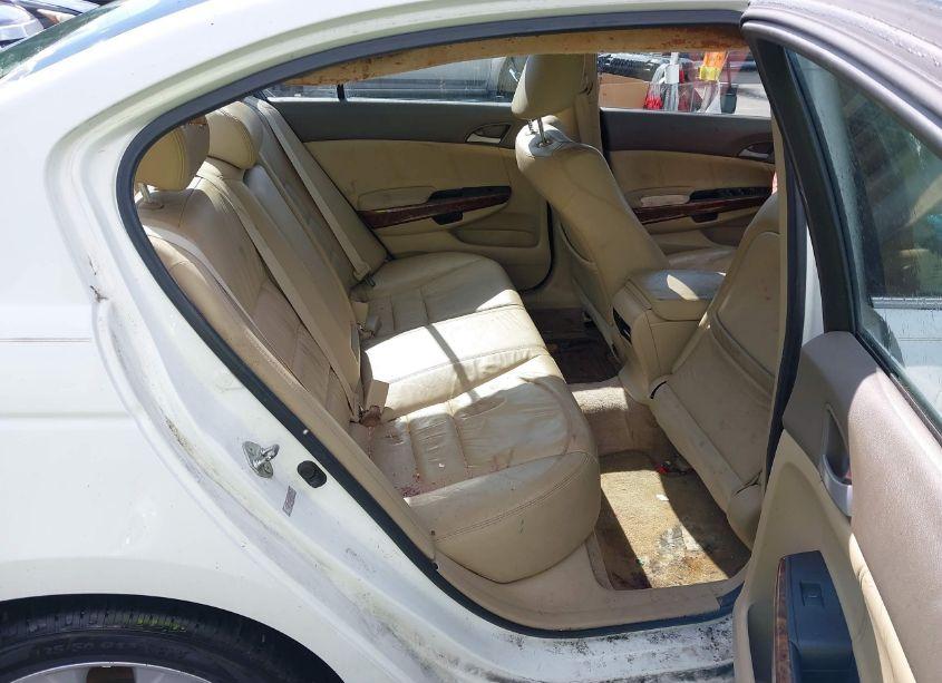 Photo 8 of 2010 Honda Accord SDN 2.4 EX-L/EX-L (VIN 1HGCP2F84AA006110)