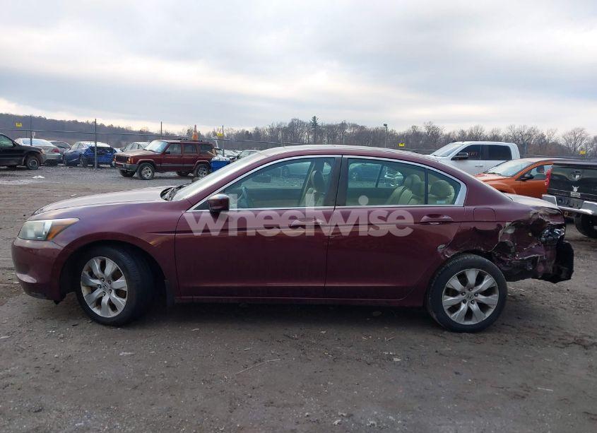 Photo 14 of 2010 Honda Accord 2.4 EX-L (VIN 1HGCP2F84AA034327)