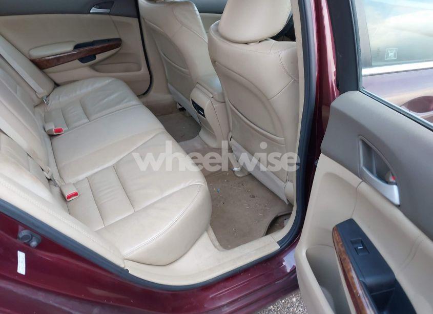 Photo 8 of 2010 Honda Accord 2.4 EX-L (VIN 1HGCP2F84AA034327)