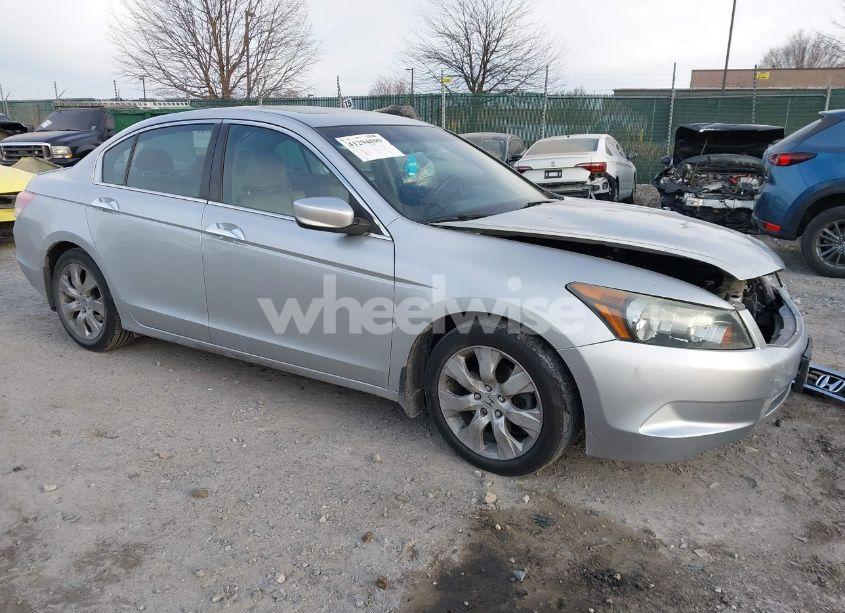 2010 Honda Accord 2.4 EX-L (VIN 1HGCP2F84AA037549) main photo