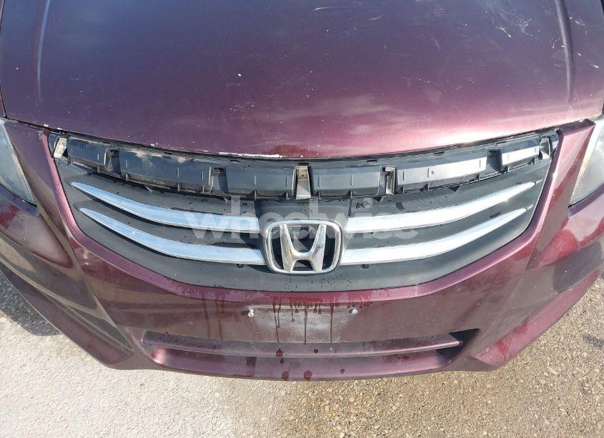 Photo 6 of 2011 Honda Accord 2.4 EX-L (VIN 1HGCP2F84BA080449)