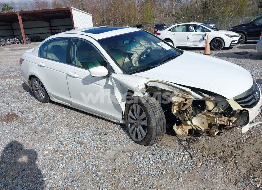 2011 Honda Accord 2.4 EX-L (VIN 1HGCP2F84BA086770) main photo