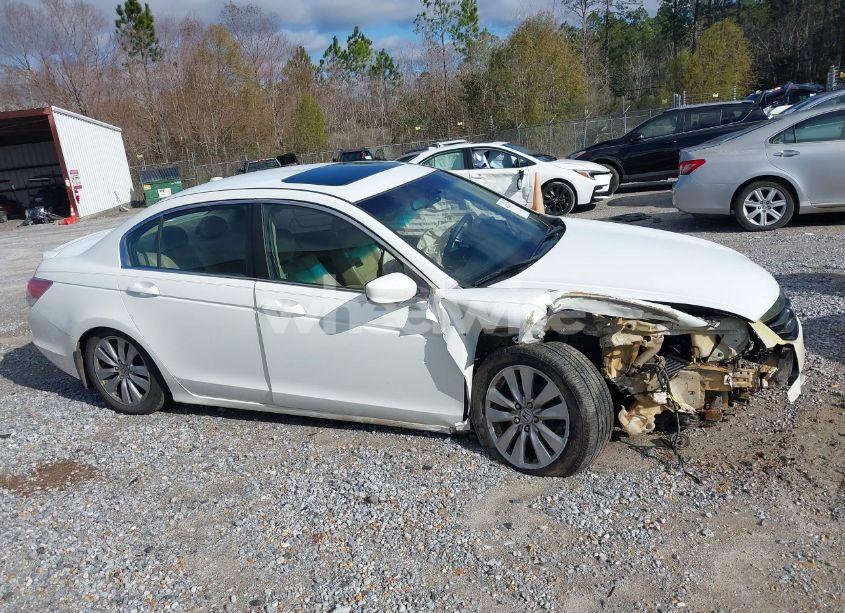 Photo 13 of 2011 Honda Accord 2.4 EX-L (VIN 1HGCP2F84BA086770)