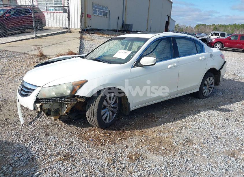 Photo 2 of 2011 Honda Accord 2.4 EX-L (VIN 1HGCP2F84BA086770)