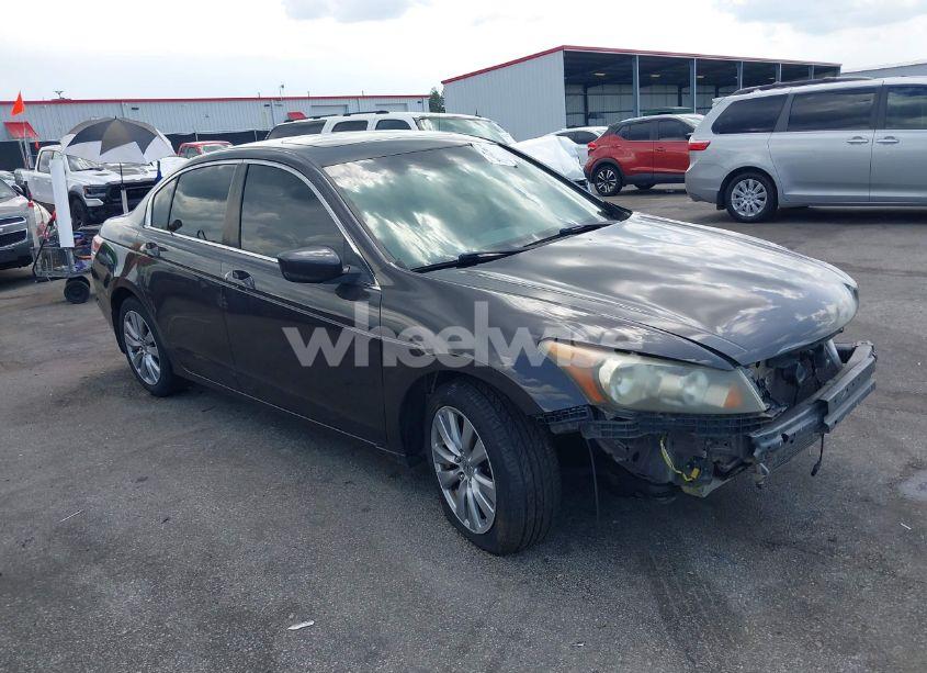 2011 Honda Accord 2.4 EX-L (VIN 1HGCP2F84BA145770) main photo