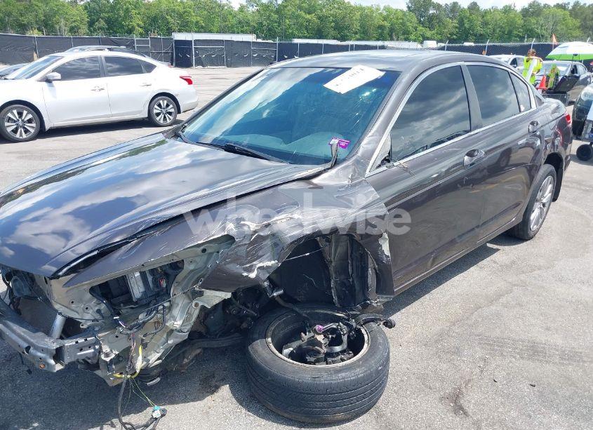 Photo 6 of 2011 Honda Accord 2.4 EX-L (VIN 1HGCP2F84BA145770)