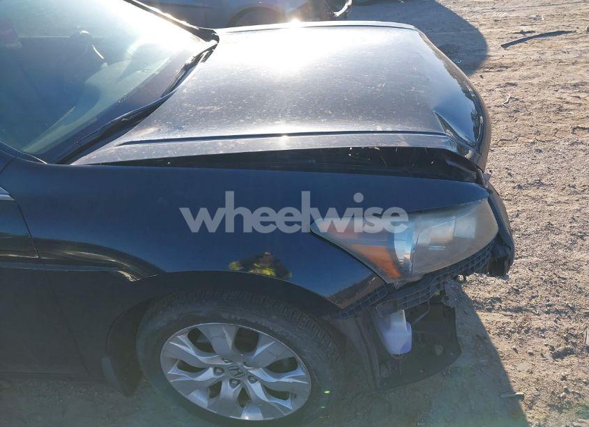 Photo 6 of 2010 Honda Accord 2.4 EX-L (VIN 1HGCP2F85AA037172)