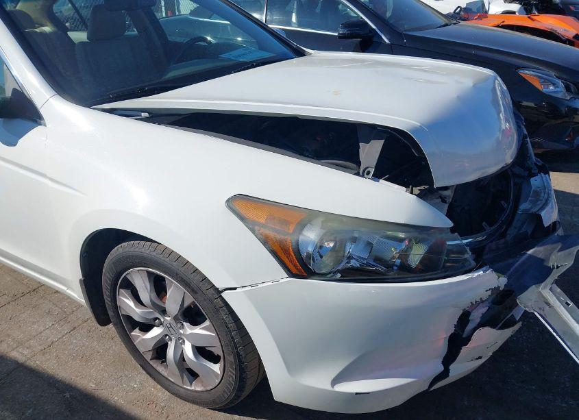 Photo 17 of 2010 Honda Accord 2.4 EX-L (VIN 1HGCP2F85AA104157)