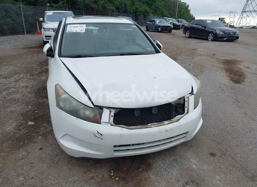 Photo 12 of 2010 Honda Accord 2.4 EX-L (VIN 1HGCP2F85AA144285)