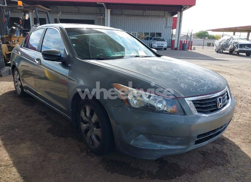 2010 Honda Accord 2.4 EX-L (VIN 1HGCP2F85AA148711) main photo