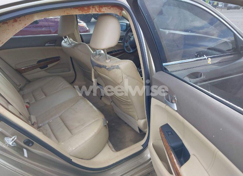 Photo 8 of 2010 Honda Accord 2.4 EX-L (VIN 1HGCP2F85AA153651)