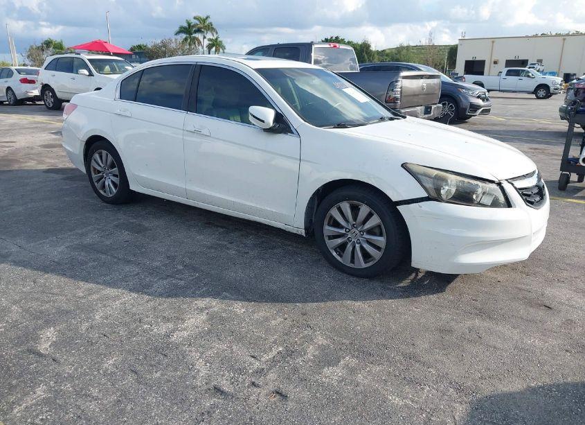 2011 Honda Accord 2.4 EX-L (VIN 1HGCP2F85BA058413) main photo