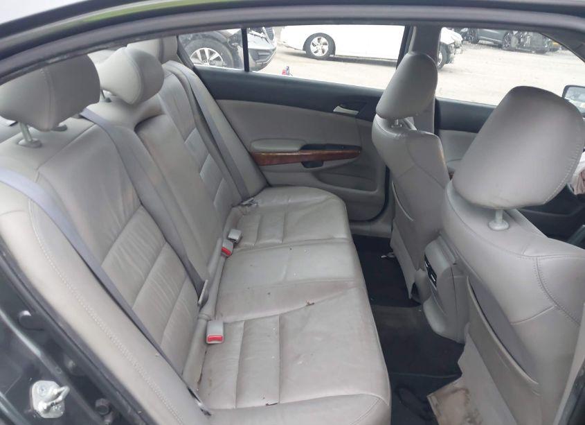 Photo 8 of 2011 Honda Accord 2.4 EX-L (VIN 1HGCP2F85BA125513)