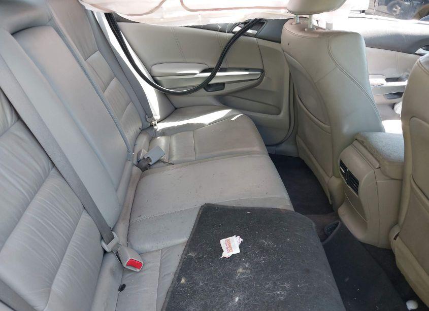 Photo 8 of 2010 Honda Accord 2.4 EX-L (VIN 1HGCP2F86AA059522)