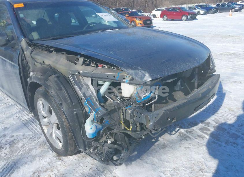 Photo 6 of 2010 Honda Accord 2.4 EX-L (VIN 1HGCP2F86AA108475)