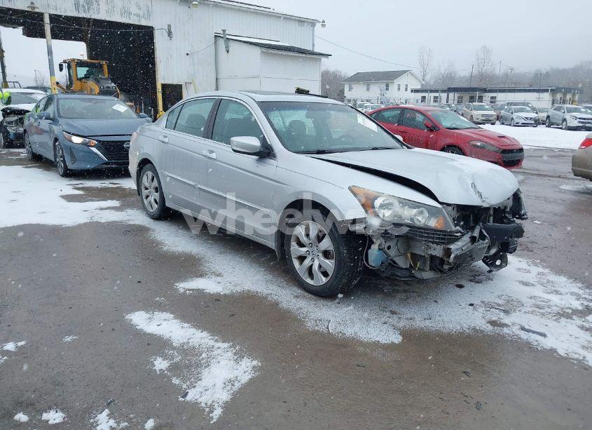 2010 Honda Accord 2.4 EX-L (VIN 1HGCP2F86AA115071) main photo