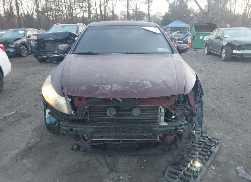 Photo 12 of 2010 Honda Accord 2.4 EX-L (VIN 1HGCP2F86AA145249)