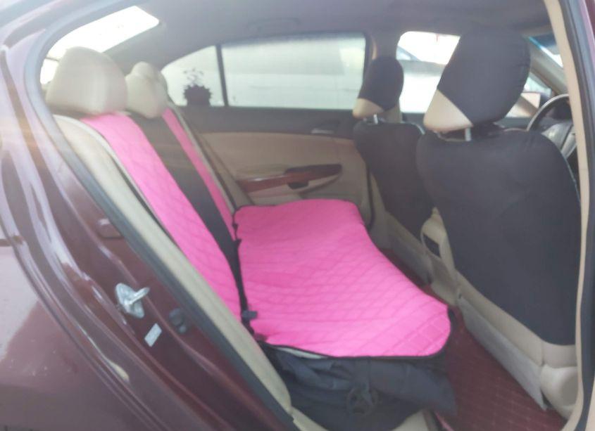 Photo 8 of 2010 Honda Accord 2.4 EX-L (VIN 1HGCP2F86AA145249)