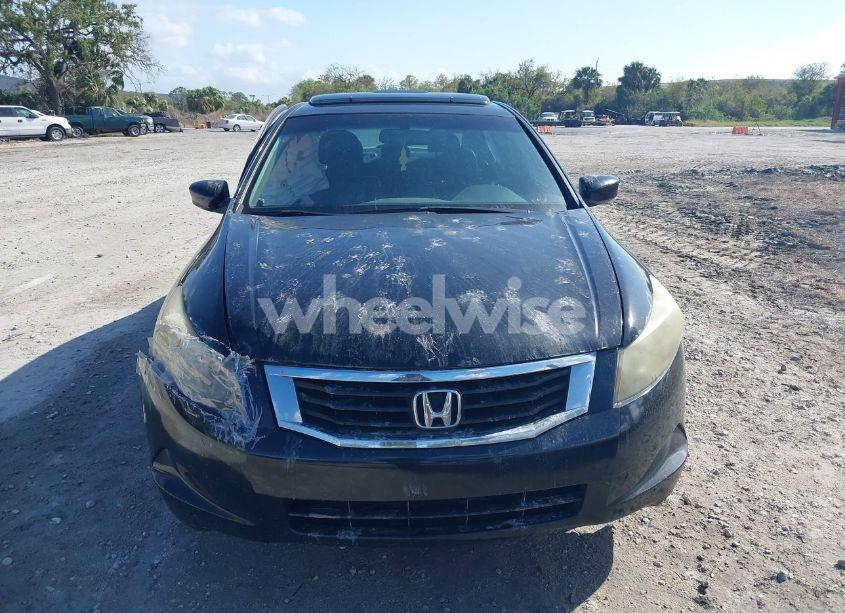 Photo 12 of 2010 Honda Accord 2.4 EX-L (VIN 1HGCP2F86AA170233)