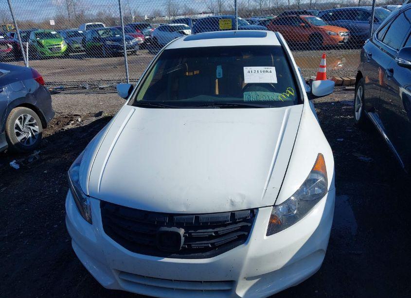 Photo 12 of 2011 Honda Accord 2.4 EX-L (VIN 1HGCP2F86BA013576)
