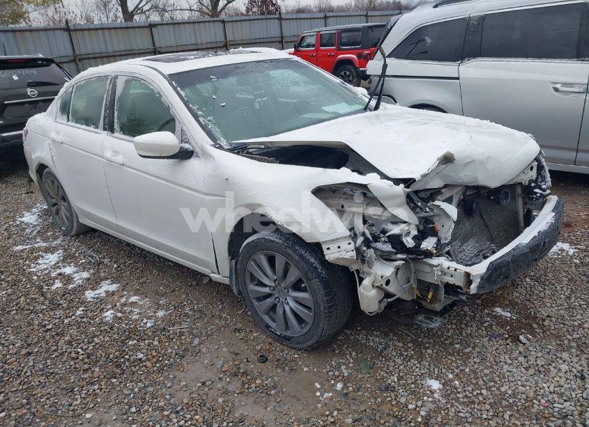 2011 Honda Accord 2.4 EX-L (VIN 1HGCP2F86BA019992) main photo