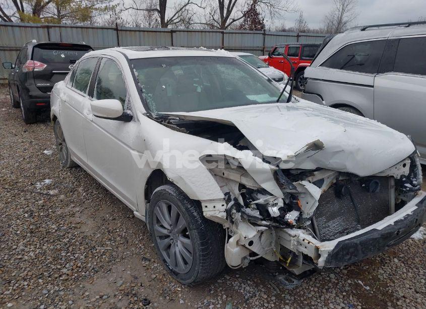 Photo 6 of 2011 Honda Accord 2.4 EX-L (VIN 1HGCP2F86BA019992)