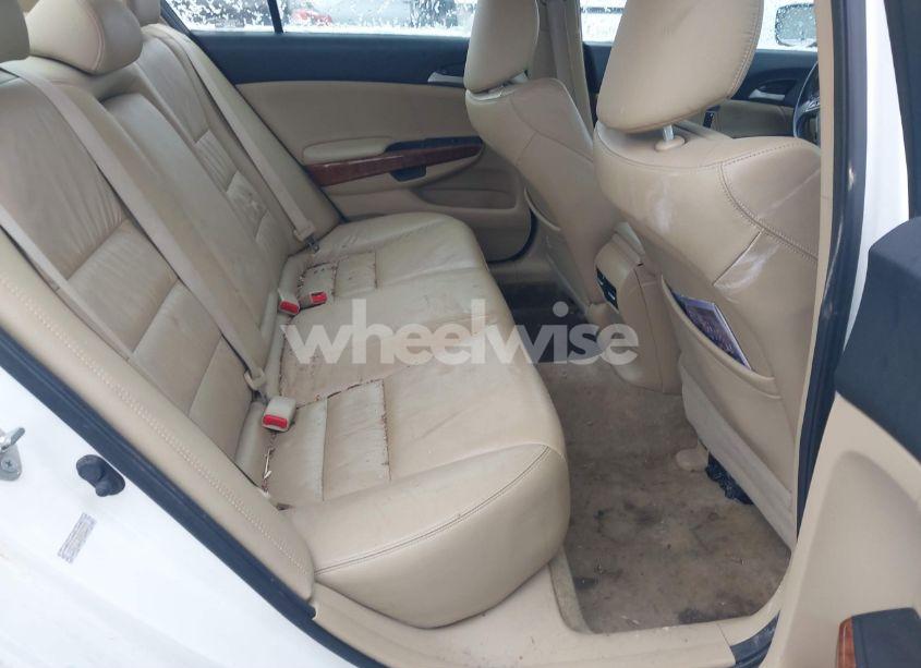 Photo 8 of 2011 Honda Accord 2.4 EX-L (VIN 1HGCP2F86BA019992)