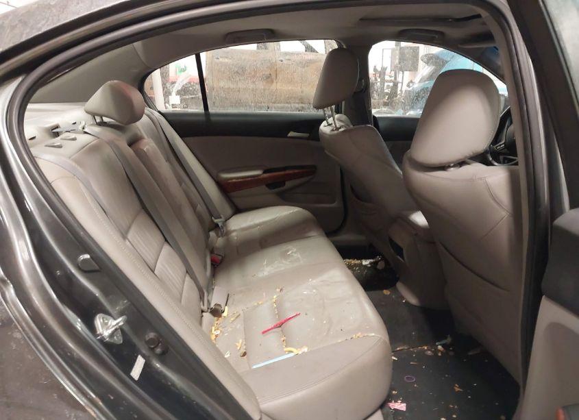 Photo 8 of 2011 Honda Accord 2.4 EX-L (VIN 1HGCP2F86BA065368)