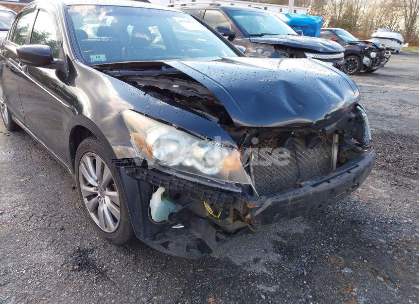 Photo 20 of 2012 Honda Accord 2.4 EX-L (VIN 1HGCP2F86CA051696)