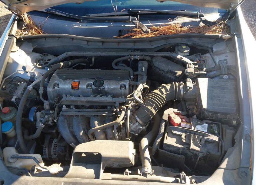 Photo 10 of 2010 Honda Accord 2.4 EX-L (VIN 1HGCP2F87AA024956)