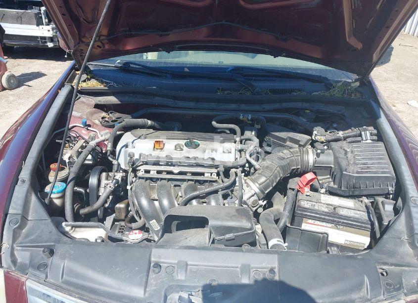 Photo 10 of 2010 Honda Accord 2.4 EX-L (VIN 1HGCP2F87AA025251)