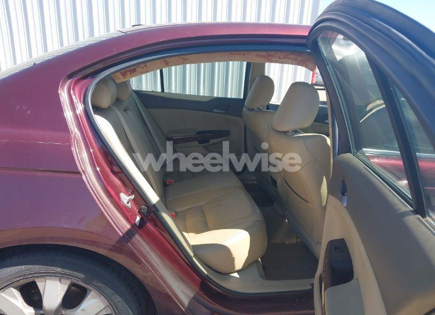 Photo 8 of 2010 Honda Accord 2.4 EX-L (VIN 1HGCP2F87AA025251)