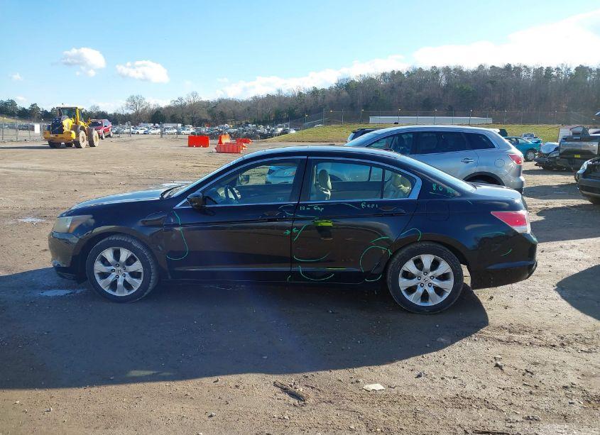 Photo 14 of 2010 Honda Accord EXL (VIN 1HGCP2F87AA079259)