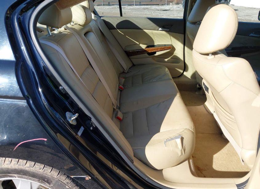 Photo 8 of 2010 Honda Accord EXL (VIN 1HGCP2F87AA079259)