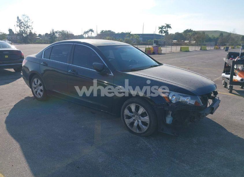 2010 Honda Accord 2.4 EX-L (VIN 1HGCP2F87AA115984) main photo