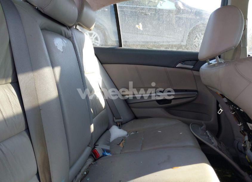 Photo 8 of 2010 Honda Accord 2.4 EX-L (VIN 1HGCP2F87AA132297)