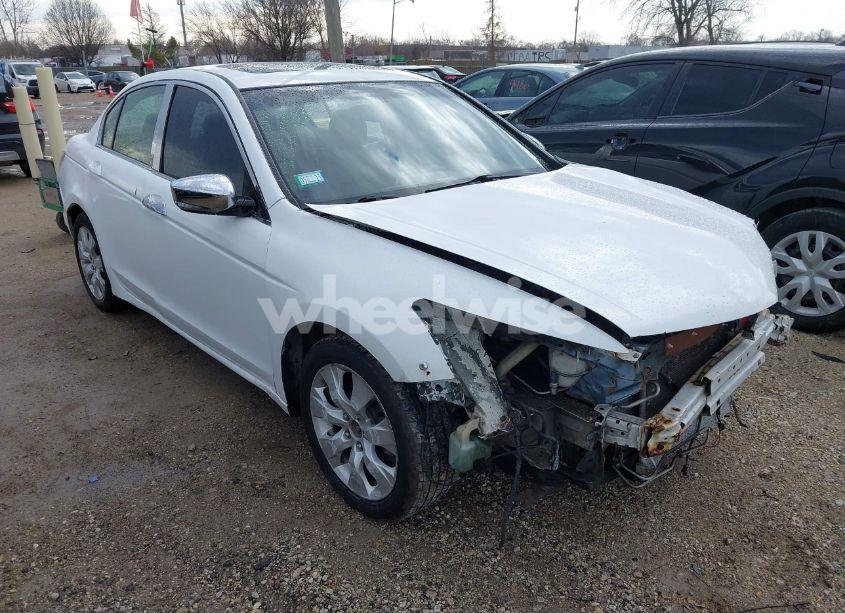 2010 Honda Accord 2.4 EX-L (VIN 1HGCP2F87AA159242) main photo