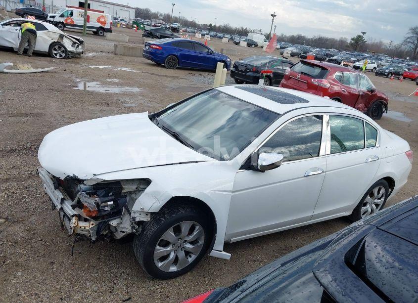 Photo 15 of 2010 Honda Accord 2.4 EX-L (VIN 1HGCP2F87AA159242)