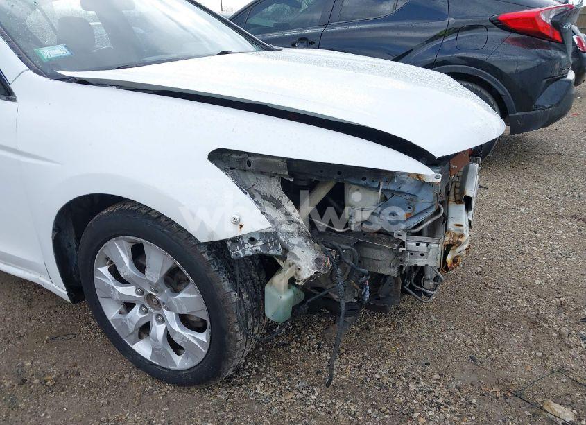 Photo 18 of 2010 Honda Accord 2.4 EX-L (VIN 1HGCP2F87AA159242)