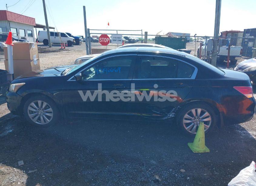 Photo 14 of 2011 Honda Accord 2.4 EX-L (VIN 1HGCP2F87BA019841)