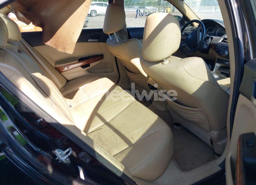 Photo 8 of 2011 Honda Accord 2.4 EX-L (VIN 1HGCP2F87BA019841)